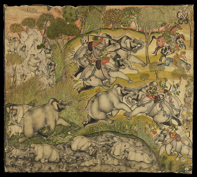 Elephant hunt