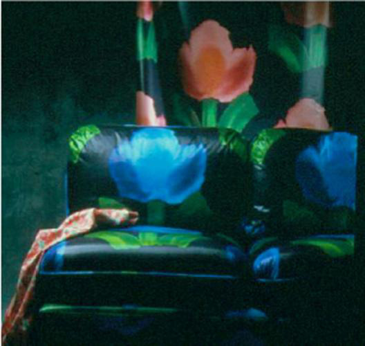 Designers Guild, photo shoot