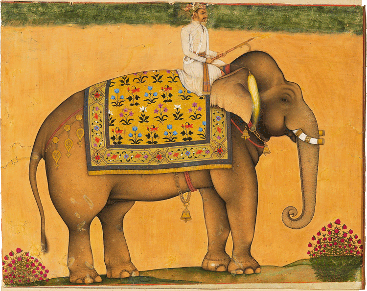 Elephant and rider