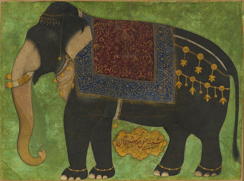 The elephant Khushi Khan