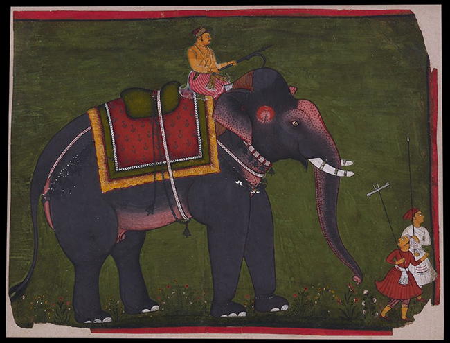 Maharao Bhao Singh riding an elephant