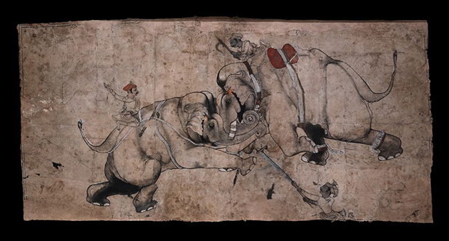 Elephants fighting