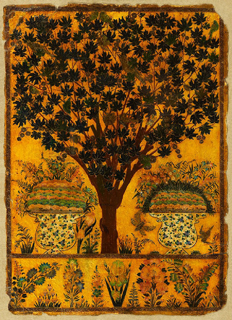 Book cover with tree, birds, and insects