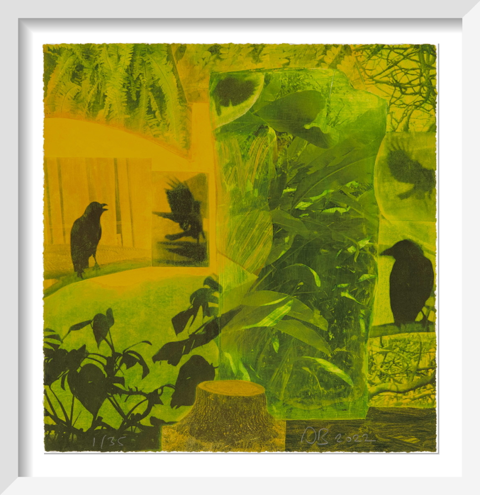 Andy Barker’s new print ‘Underneath the Singing Tree’ is based on a memory of looking out from Howard Hodgkin’s studio balcony in Mumbai.